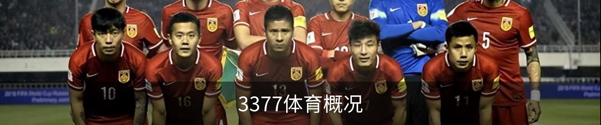 3377体育概况